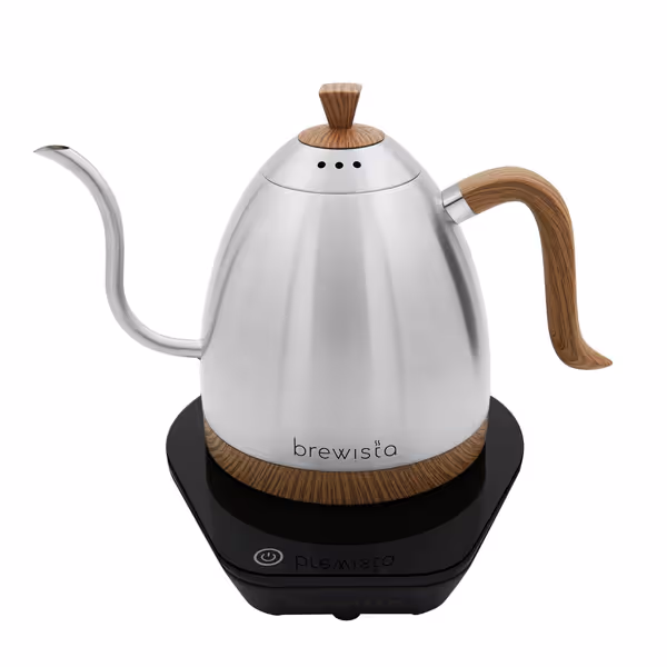 Brewista Artisan Gooseneck Kettle